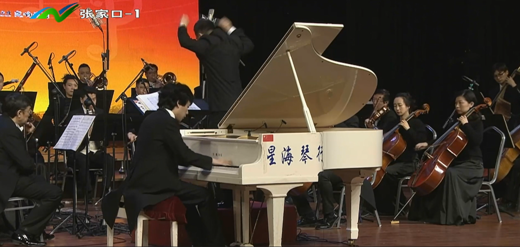 Yuanfan Yang's incredible performance on 2019 Zhangjiakou New Year Concert
